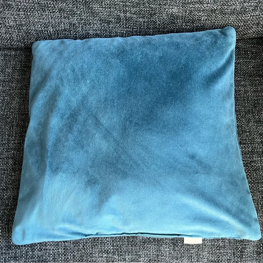 Pier 1 Imports Velvet Throw Pillows- set of 2